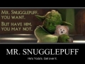 Mr. Snugglepuff