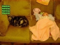 How I feel babysitting