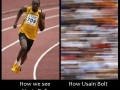 Usain Bolt is fast!