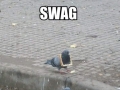 Just some SWAG