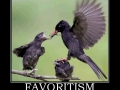 Favouritism