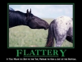 Flattery