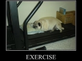 Exercise