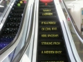 Best escalator ever!