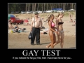 Gay Test