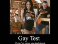 Gay Test