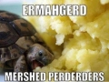 Ermahgerd