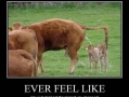 Some respect please!