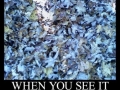 When you see it