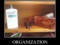 Organisation