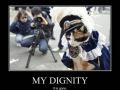 Poor kitty lost it's dignity