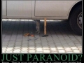 Paranoid?