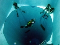 Nemo 33