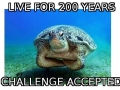 Challenge accepted!