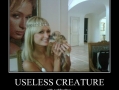 Useless creature