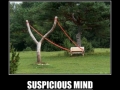 Suspicious mind