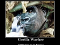 Gorilla Warfare
