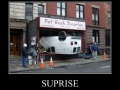 Surprise!