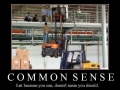 Common Sense