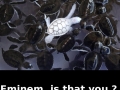 Eminem, is that you?