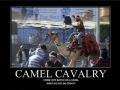 Camel Cavalry