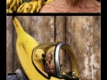 Bananas