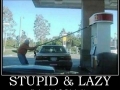 Stupid & Lazy