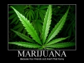 Marijuana