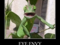 Eye Envy