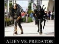 Alien VS. Predator