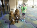 Adorable Baby Wookies