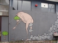 Humans