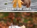 I'll get that b*tch leaves