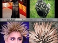 Lady Gaga Inspiration