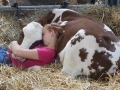Napping with her cow