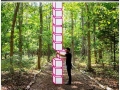 Aakash Nihalani's tape art