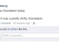 Stupid chameleon