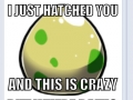 Top 5 Pokemon Posts