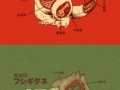 Pokemon Anatomy