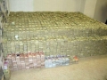 The Bed of a Drug Lord