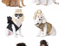 Celebrity dog costumes