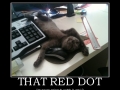 That Red Dot