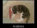 Narnia