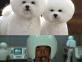 Dog Spaceballs Cosplay