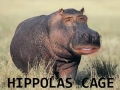 Hippolas Cage