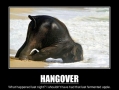 Hangover