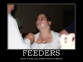 Feeders
