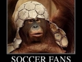Soccer Fans