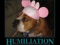 Humiliation