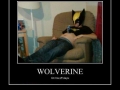 Wolverine